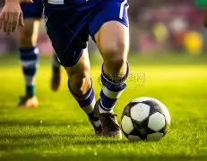 古树相约,活力九华燃,情盛放,威廉希尔(WilliamHill)官网,威廉希尔,(WilliamHill)平台,威廉希尔,(WilliamHill)官网app,威廉希尔,(WilliamHill)中文官方网站